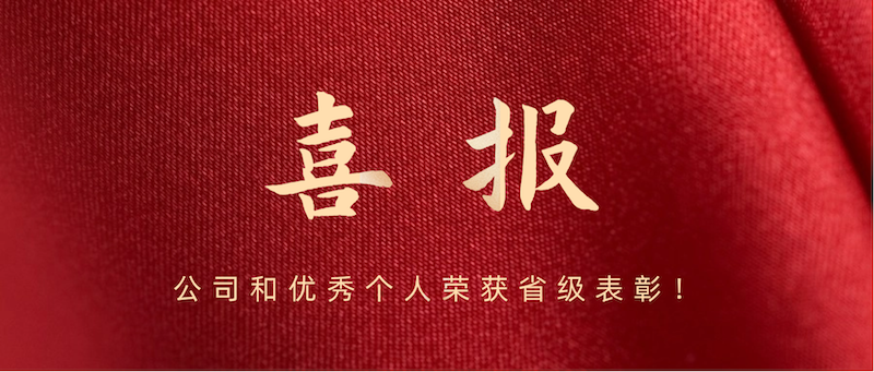 喜报 | 公司和优秀个人荣获省级表彰！